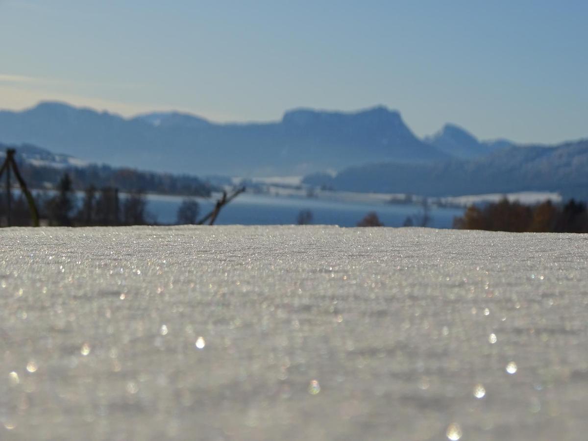 Oberhofen am Irrsee Sunnhof 빌라 외부 사진